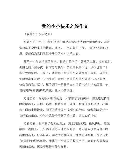 我的小小快乐之旅作文