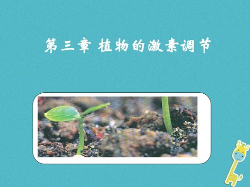 2018年高中生物第三章植物的激素调节3.3其他植物激素课件2新人教版必修3