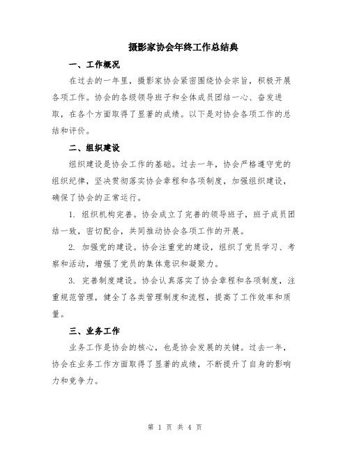 摄影家协会年终工作总结典