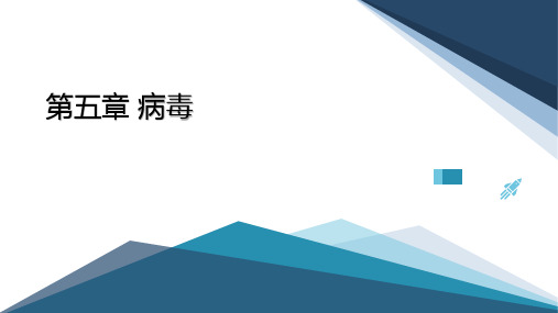 人教版(新课程标准)初中生物八年级上册 第五单元 第五章 病毒 课件