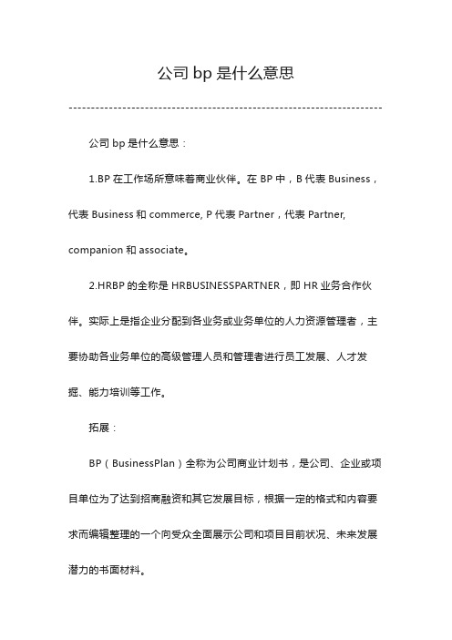 公司bp是什么意思