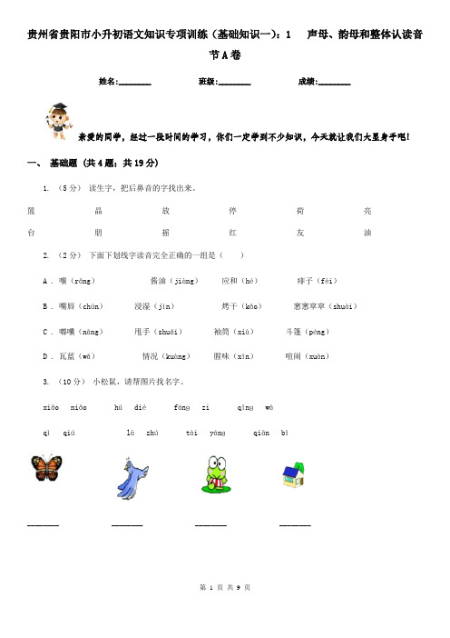 贵州省贵阳市小升初语文知识专项训练(基础知识一):1 声母、韵母和整体认读音节A卷