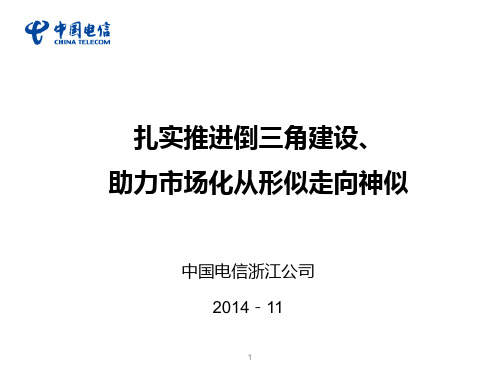 浙江省电信公司深化改革发言材料