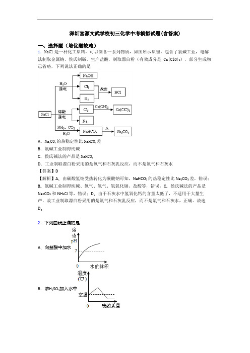 深圳富源文武学校初三化学中考模拟试题(含答案)