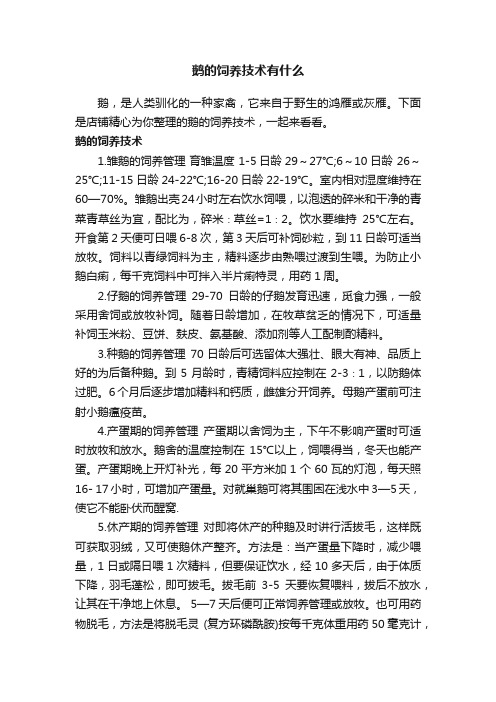 鹅的饲养技术有什么