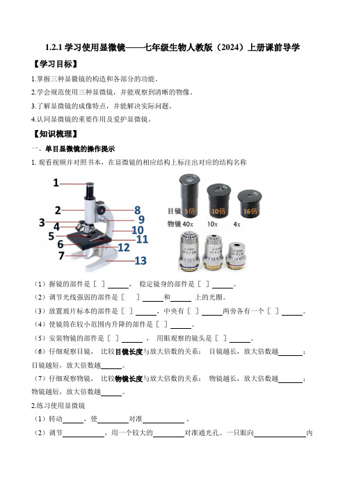 1.2.1++学习使用显微镜++导学案-2024-2025学年人教版生物七年级上册