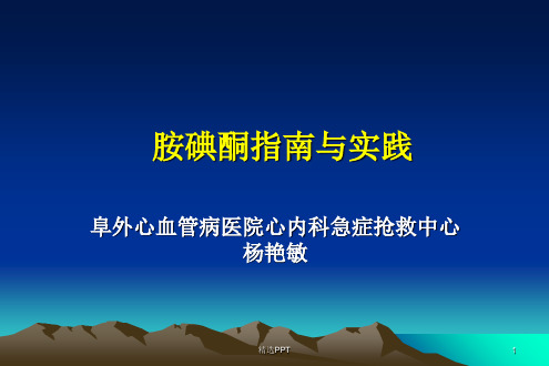 胺碘酮指南与实践20081116济南