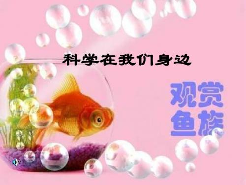 3青岛版科学三上《科学在我们身边》