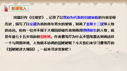 部编人教版九年级语文上册《刘姥姥进大观园》 教学课件