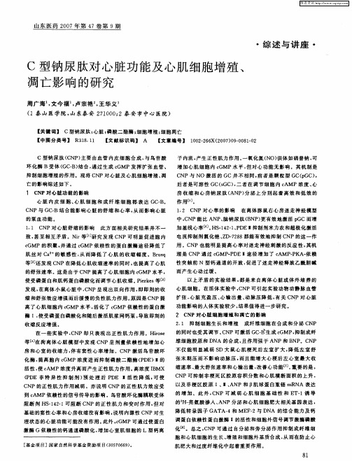 C型钠尿肽对心脏功能及心肌细胞增殖、凋亡影响的研究