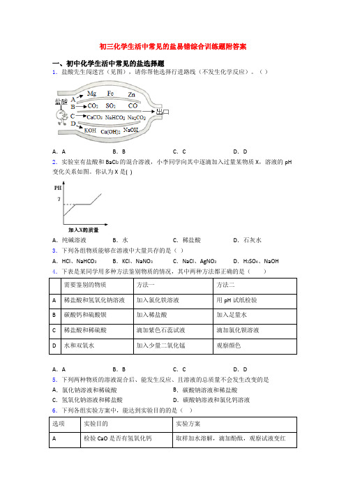 初三化学生活中常见的盐易错综合训练题附答案