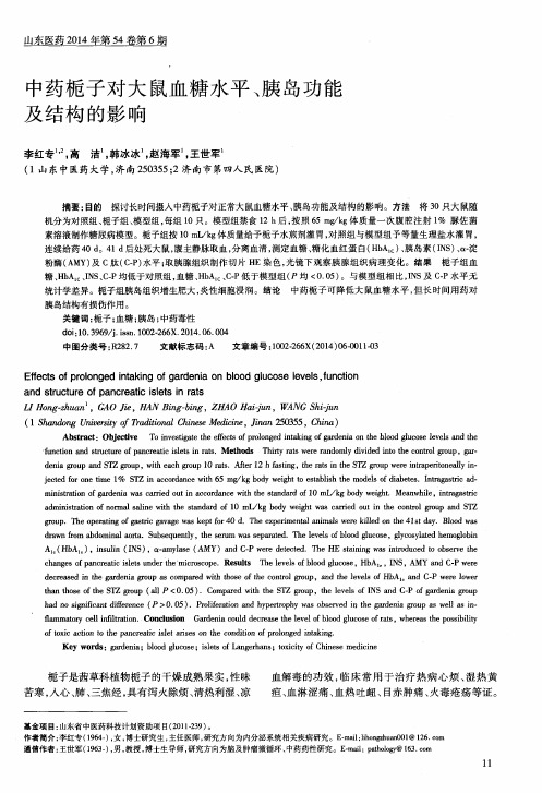 中药栀子对大鼠血糖水平、胰岛功能及结构的影响