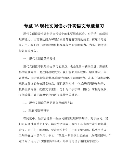 专题16现代文阅读小升初语文专题复习