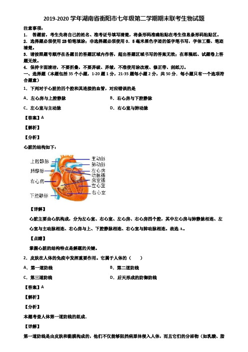 2019-2020学年湖南省衡阳市七年级第二学期期末联考生物试题含解析