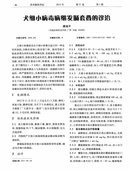 犬细小病毒病继发肠套叠的诊治