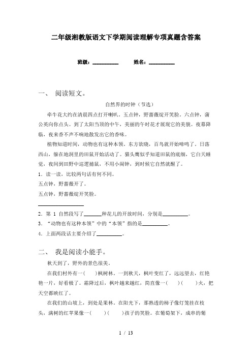 二年级湘教版语文下学期阅读理解专项真题含答案