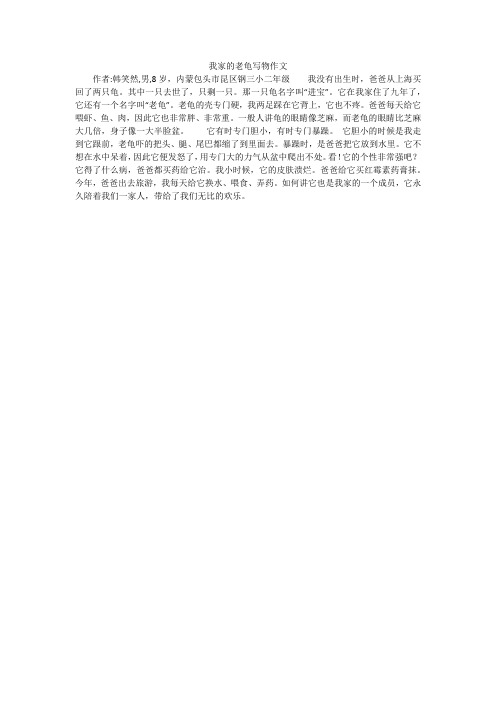 我家的老龟写物作文