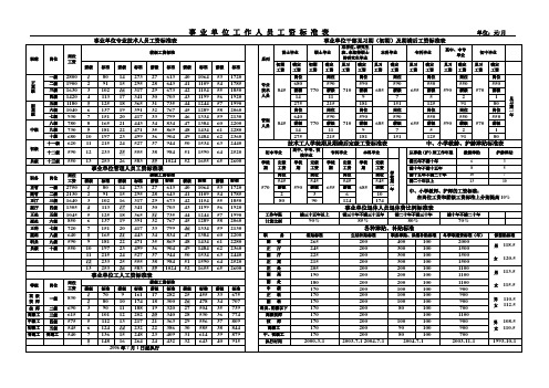 事业单位工作人员工资标准表