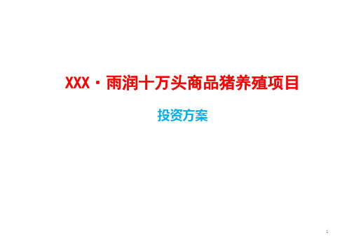 10万头生猪养殖投资方案PPT课件