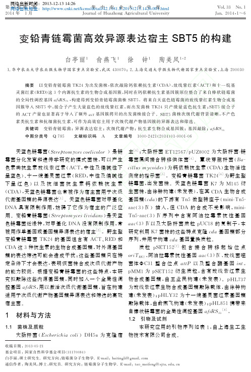 变铅青链霉菌高效异源表达宿主SBT5的构建_白亭丽1俞燕飞1徐钟1陶美凤1_2