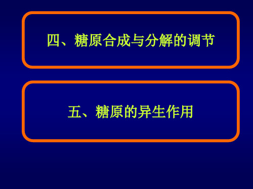 生物化学糖原的分解及合成