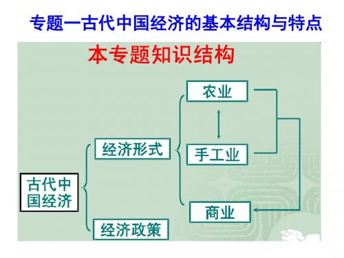 古代中国的农业经济ppt30