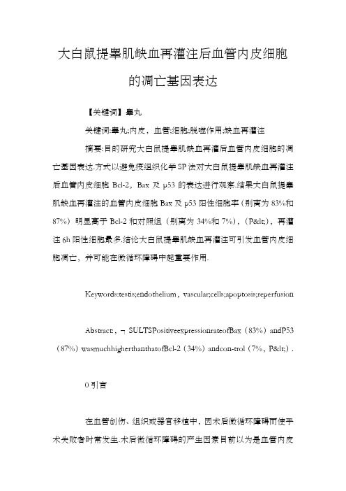 大白鼠提睾肌缺血再灌注后血管内皮细胞的凋亡基因表达