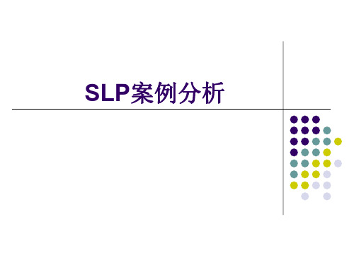 SLP案例分析