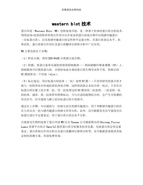 western blot技术 