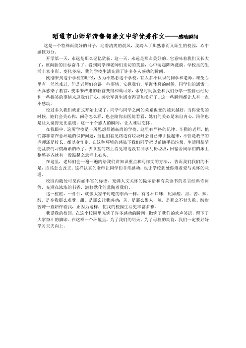 昭通市山师华清鲁甸崇文中学优秀作文——感动瞬间