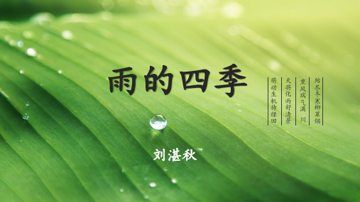 《雨的四季》ppt课件