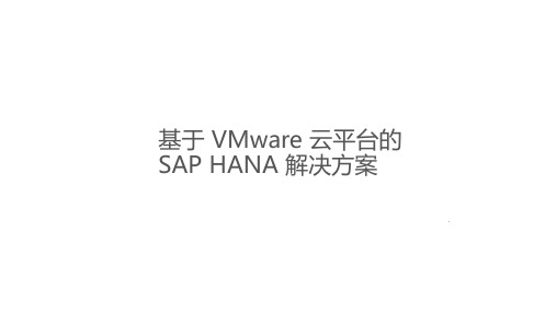 基于VMware云平台的SAP HANA解决方案