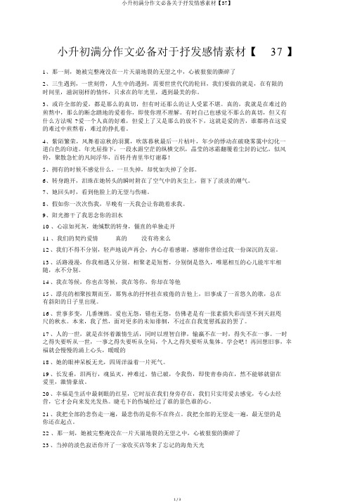 小升初满分作文必备关于抒发情感素材【37】