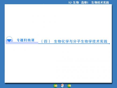 高中生物(苏教版)选修1课件：专题归纳课4第4章 生物化学与分子生物学技术实践(共42张PPT)