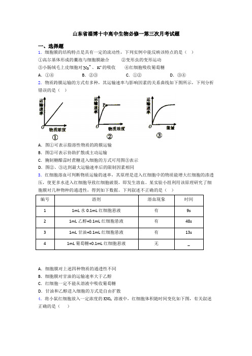 山东省淄博十中高中生物必修一第三次月考试题