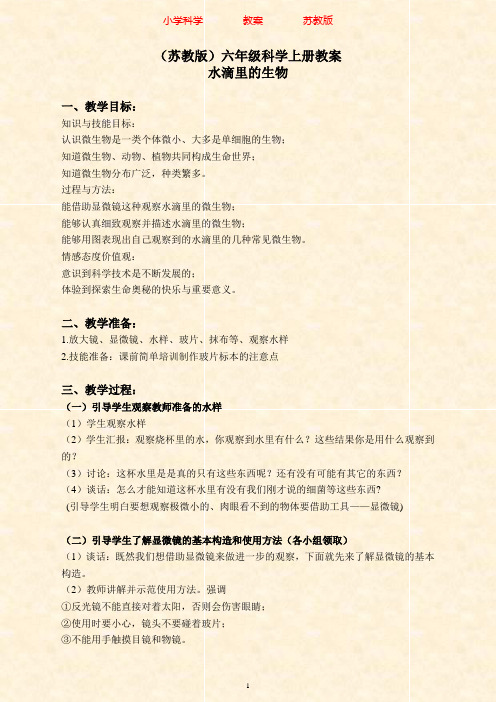 苏教版科学六年级上册教案1.1水滴里的生物1-附知识点梳理