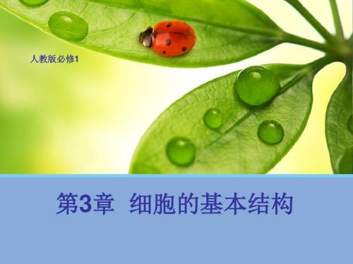 【高中生物】细胞膜——系统的边界ppt72