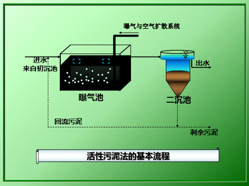 精选活性污泥法工艺设计