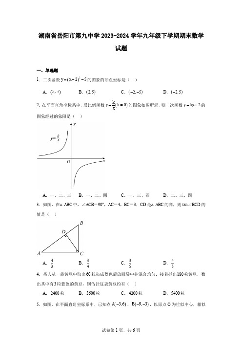 湖南省岳阳市第九中学2023-2024学年九年级下学期期末数学试题