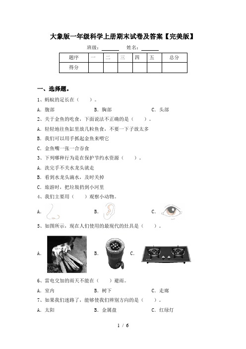 大象版一年级科学上册期末试卷及答案【完美版】