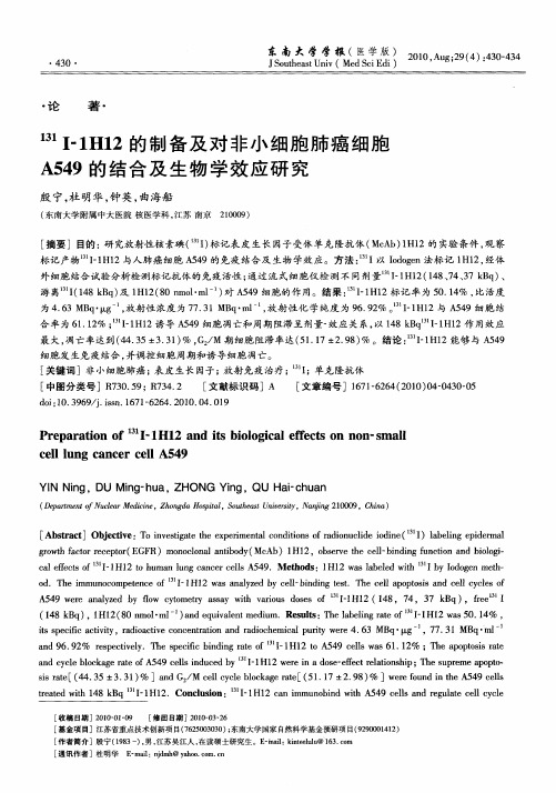 131I-1H12的制备及对非小细胞肺癌细胞A549的结合及生物学效应研究