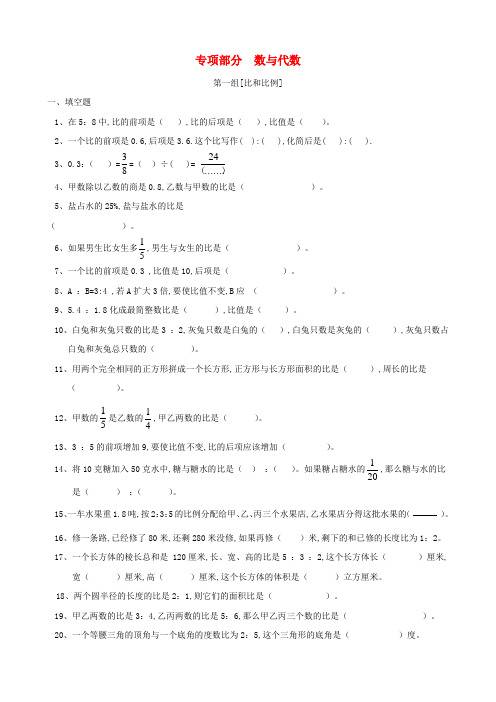 六年级数学上册专项复习数与代数冀教版