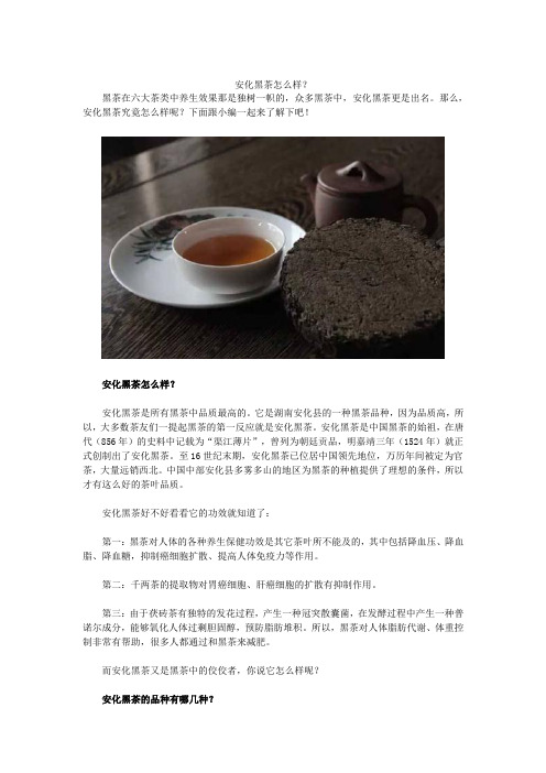 安化黑茶怎么样？