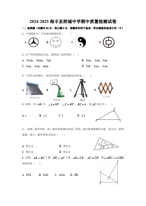 广东省汕尾市海丰县附城中学2024-2025学年八年级上学期11月期中考试数学试题(含答案)