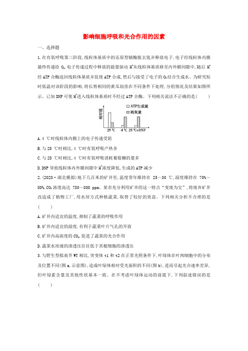 2025届高三生物一轮复习练习：影响细胞呼吸和光合作用的因素