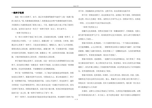 一粒种子优秀