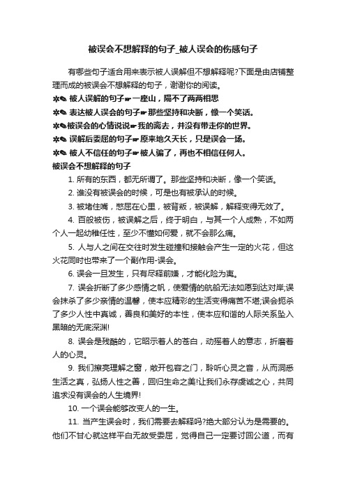 被误会不想解释的句子_被人误会的伤感句子