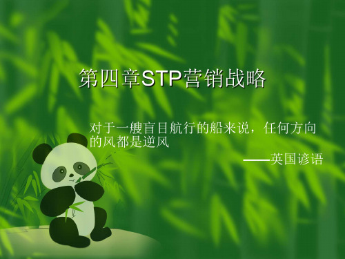 STP营销战略