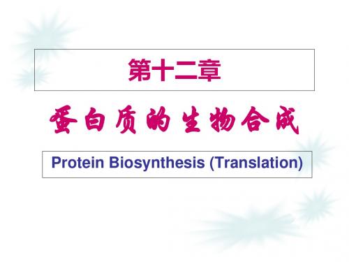 第12章 蛋白质生物合成