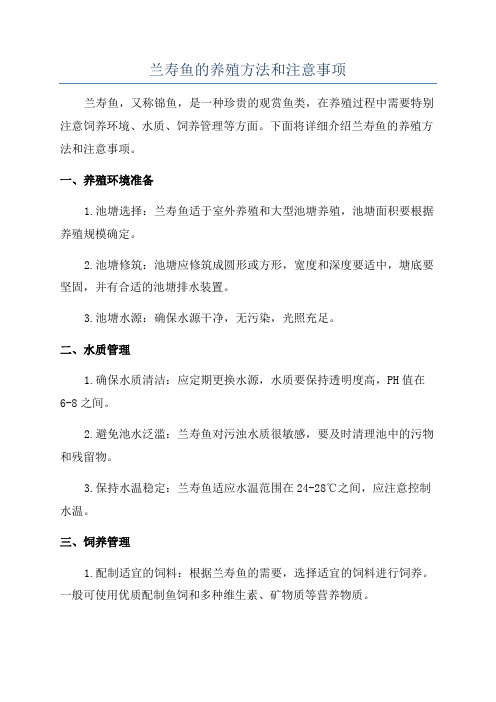 兰寿鱼的养殖方法和注意事项